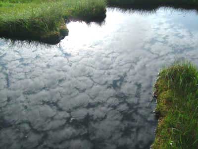 池塘に映る鱗雲の写真