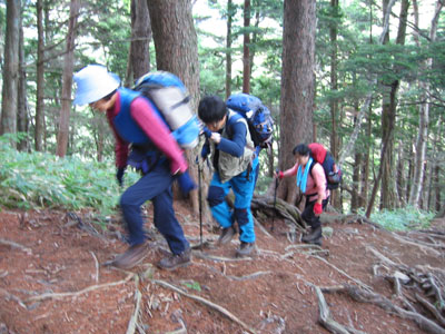 徳沢からの急登を登るメンバーの写真