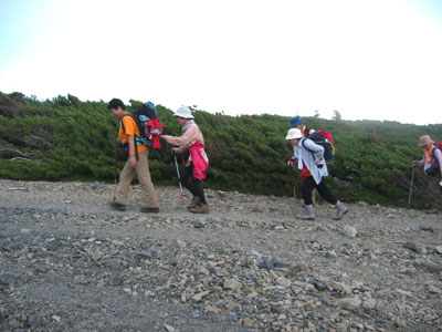 蝶ヶ岳山頂直下を登るメンバーの写真