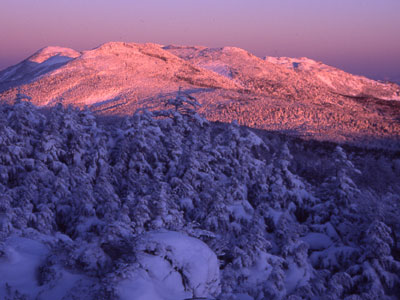 モルゲンロートの縞枯山と蓼科山方面の写真