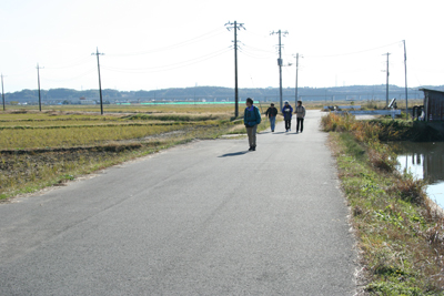 広い田んぼ地帯をのんびりと歩いている写真