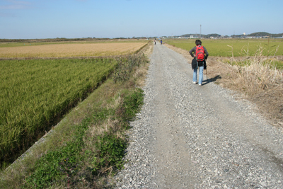 見晴の良い砂利道の農道を歩いている写真