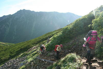 水晶岳を背に登山道を登っている写真