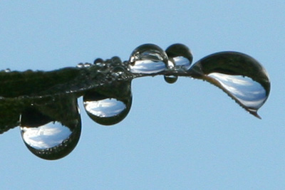 水滴に写る風景の写真