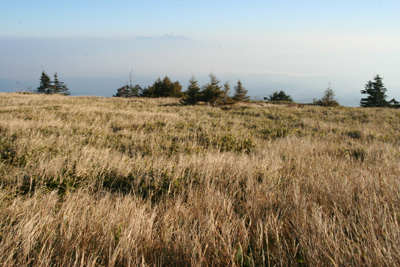 双子山山頂の草原と浅間山の写真