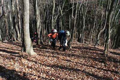 木漏れ日と落ち葉の道を登っている写真