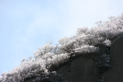 前尾根の上の樹氷の写真