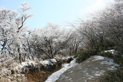 国見峠付近の樹氷の写真