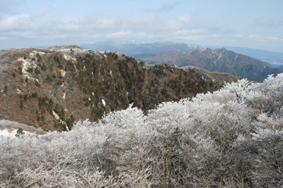 樹氷と三国山方面の写真