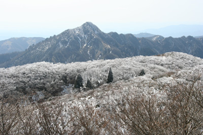 樹氷の尾根と鎌ヶ岳の写真