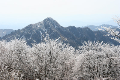 全景に樹氷を配した鎌ヶ岳の写真