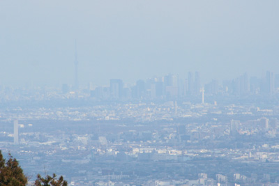 高層ビル群と東京スカイツリーの写真