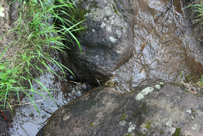 伏流水からわき出て流れた水がまた岩の隙間から伏流水になっている写真