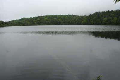 大きな白駒池の写真