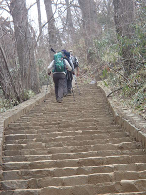 高尾山山頂への最後の急な階段の写真