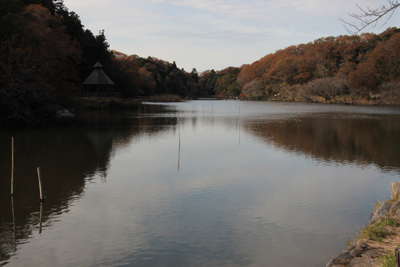 坂田ヶ池の写真