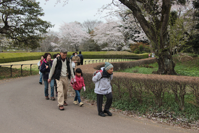 佐倉城址公園の入口を歩いている写真