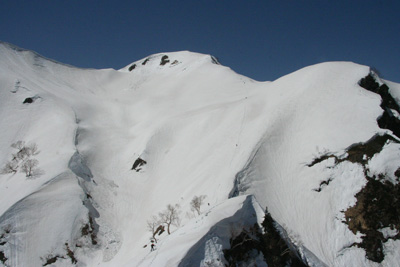 白岳への雪の斜面を登っている人たちの写真