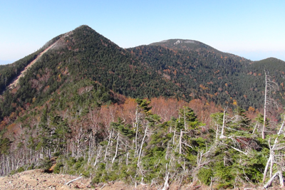 木賊山への登りから見た甲武信ヶ岳の写真