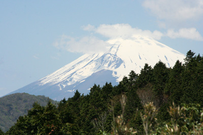 真っ白な富士山の写真