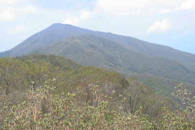 長七郎山から見た黒檜山と駒ヶ岳の写真