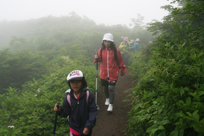 八合目から高山植物の多い登山道を歩きはじめた写真