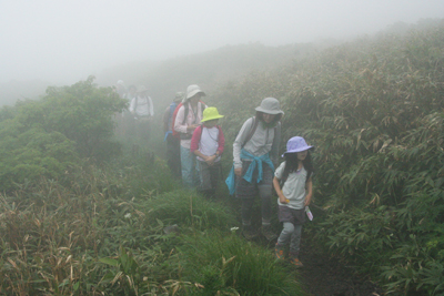 阿弥陀池を目指して高山植物の多い登山道を歩いている写真