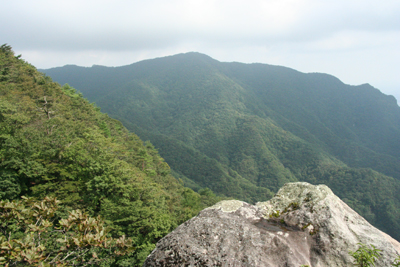 小野子山の写真