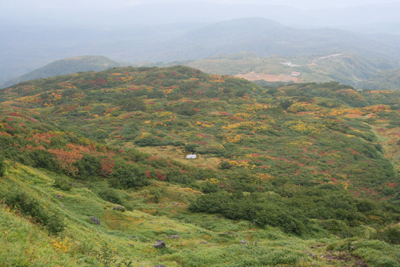 山腹の紅葉と遠くに見える祓川ヒュッテの写真