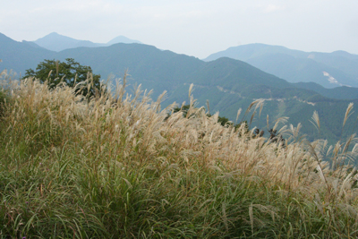棒ノ折山山頂から見た武甲山、大持山、武川岳方面の写真