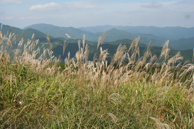棒ノ折山山頂から見た武川岳と伊豆ヶ岳方面の写真