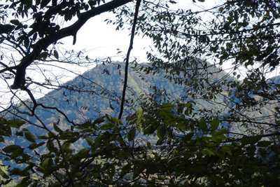 新大地峠への登りから見た高柄山の写真