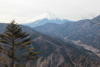 富士山と山伏峠の写真