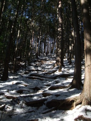 残雪の残る登山道の写真
