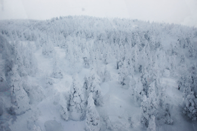 蔵王ロープウェイ山頂線から見た樹氷原の写真