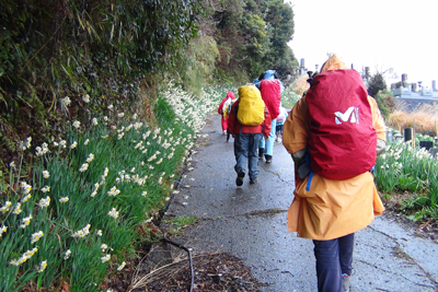 福満寺からスイセンの咲く道を歩きはじめた写真