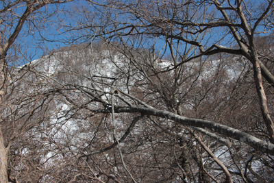 木の間から見える檜洞丸山頂の写真