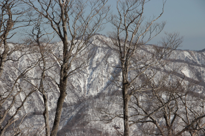 檜洞丸山頂から見た塔ノ岳の写真