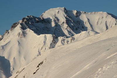 上の樺付近から見た五竜岳の写真