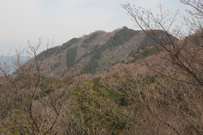 葛城山の写真
