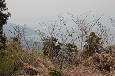 発端丈山から見た大瀬崎方面の写真