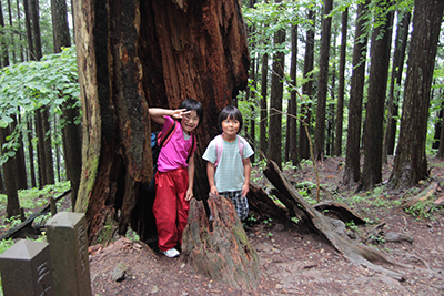 多すぎ手前の枯れた杉の木の中に入ってポーズを撮る二人の女の子の写真