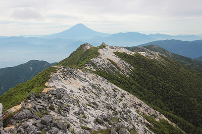 観音岳から見た薬師岳と富士山の写真