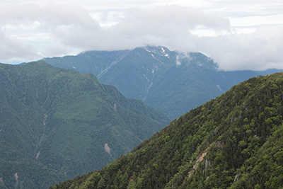 薬師岳付近から見た仙丈岳の写真