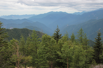 杖立峠付近から見た櫛形山方面の写真