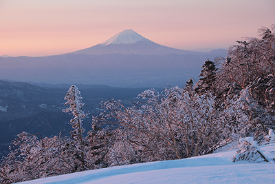 ピンク色の空に浮かび上がる富士山の写真
