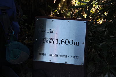 標高1,600mの標識の写真