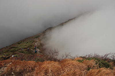 山頂(トマの耳)に着いたとき、一瞬霧が晴れた時の見えたオキの耳方面の登山道の写真
