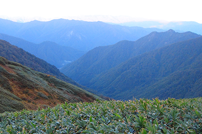 ２日目の朝、蓬峠から見た新潟県側の写真