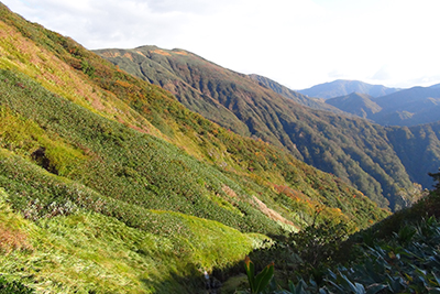 武能岳の山腹と七ツ小屋山方面の写真